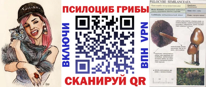 что такое   кракен вход  Псилоцибиновые грибы Magic Shrooms  Юрьев-Польский 