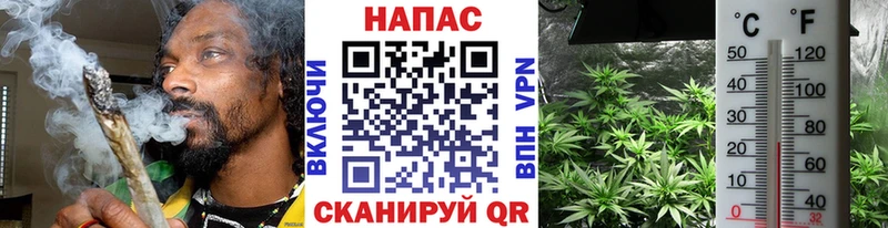 MEGA как войти  что такое наркотик  Юрьев-Польский  Конопля индика 